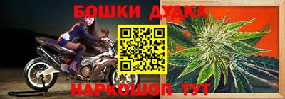 дурь Славгород