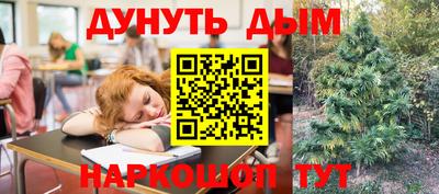 твердый Сланцы