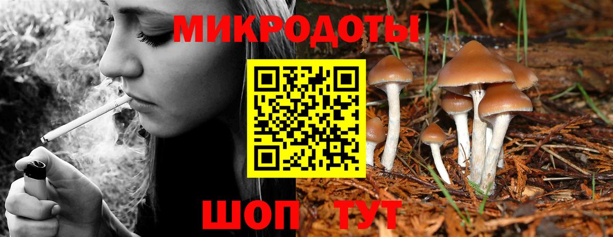 Псилоцибиновые грибы мицелий  Псилоцибиновые грибы мицелий  Саянск  Вход с VPN 